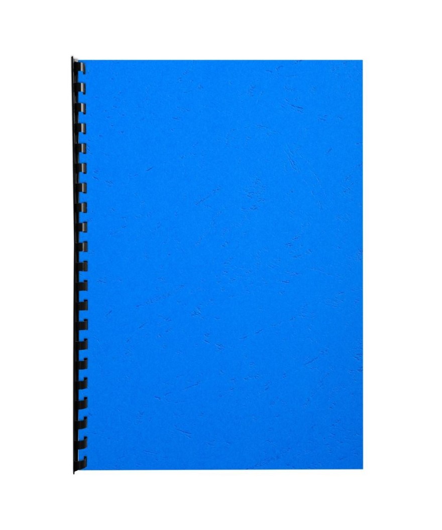 PK 100F FOREVER BLEU A4 270G