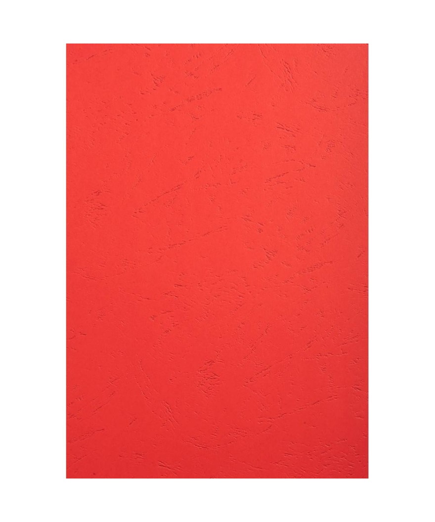 PK 100F FOREVER ROUGE A4 270G