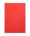 PK 100F FOREVER ROUGE A4 270G