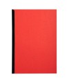 PK 100F FOREVER ROUGE A4 270G