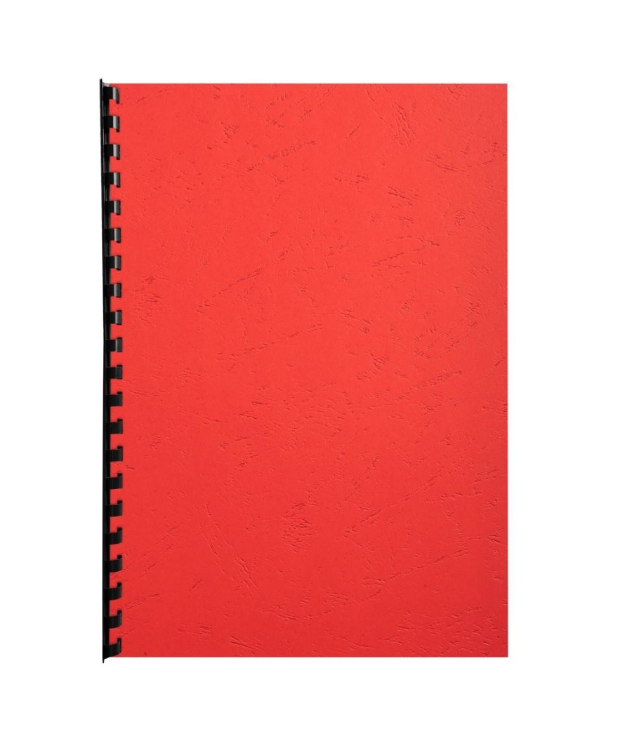 PK 100F FOREVER ROUGE A4 270G