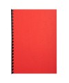PK 100F FOREVER ROUGE A4 270G