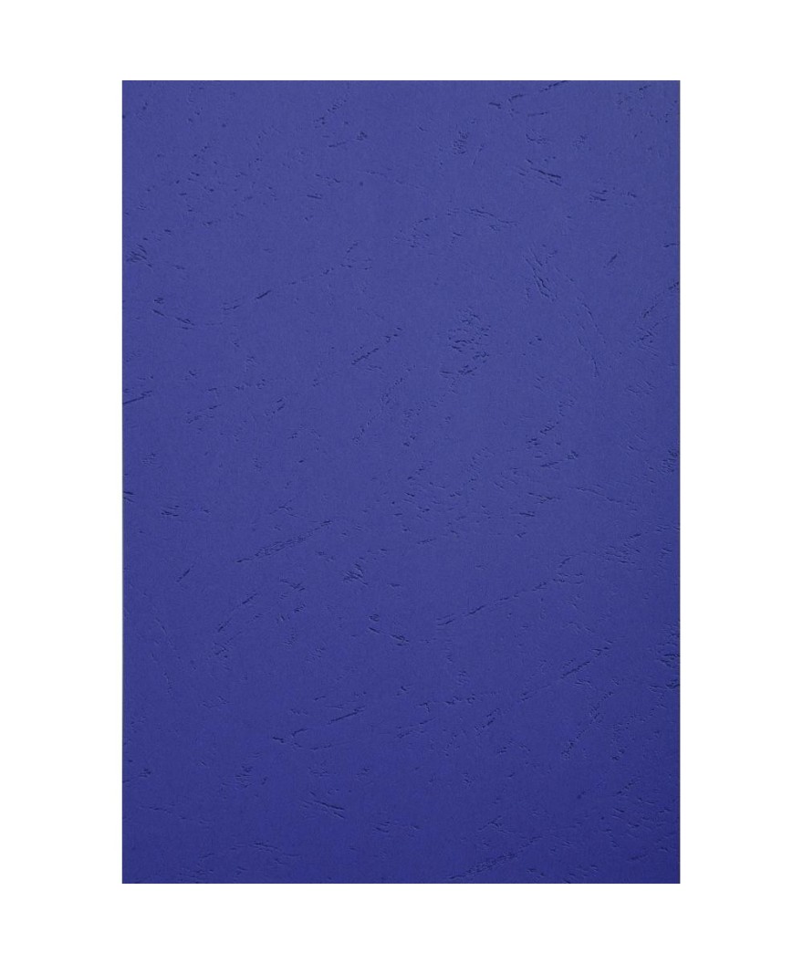 PK 100F FOREVER BLEU foncé A4 270G