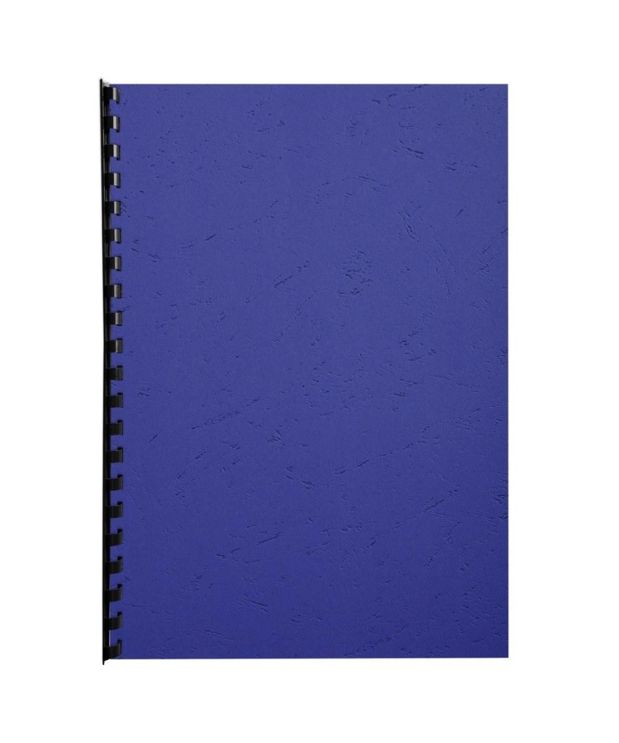 PK 100F FOREVER BLEU foncé A4 270G