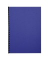 PK 100F FOREVER BLEU foncé A4 270G