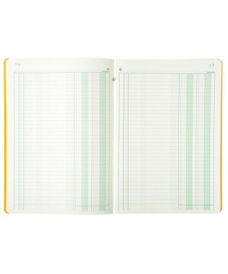 PIQ. 29,7/21 JOURNAL FOLIOTE 80p.