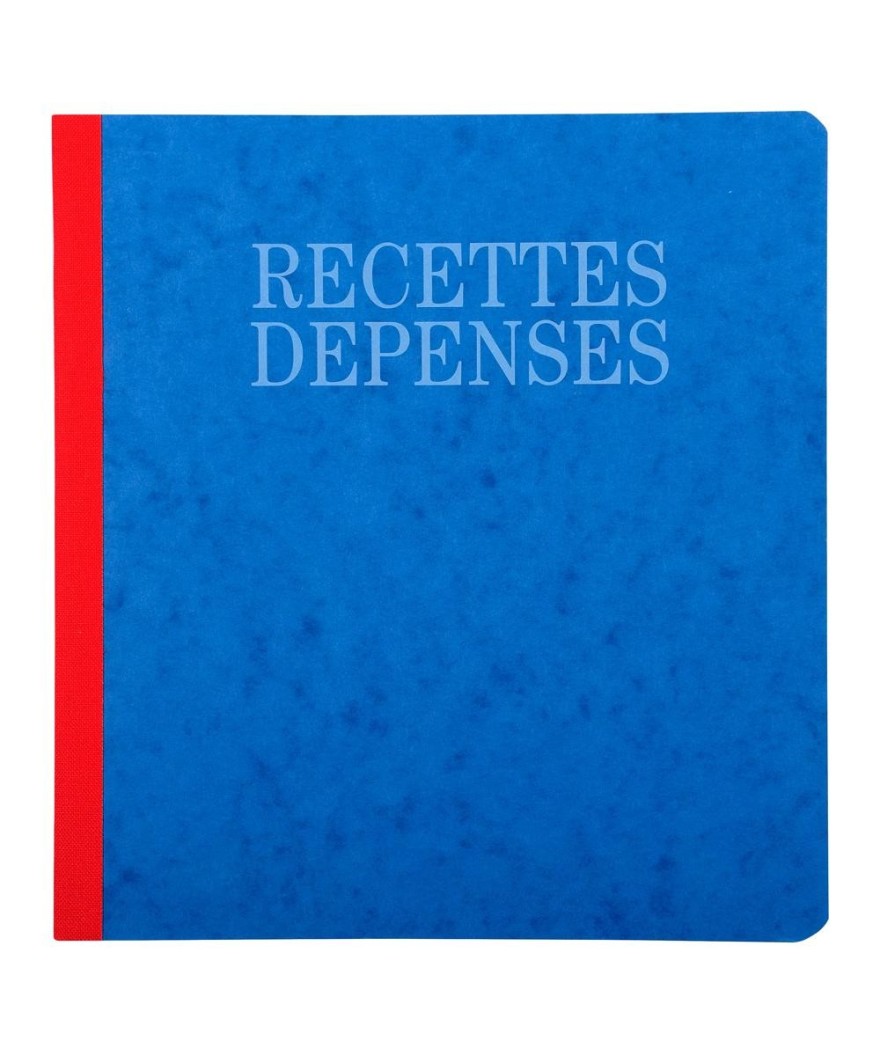 PIQ. 21/19 RECETTES-DEPENSES 80p.