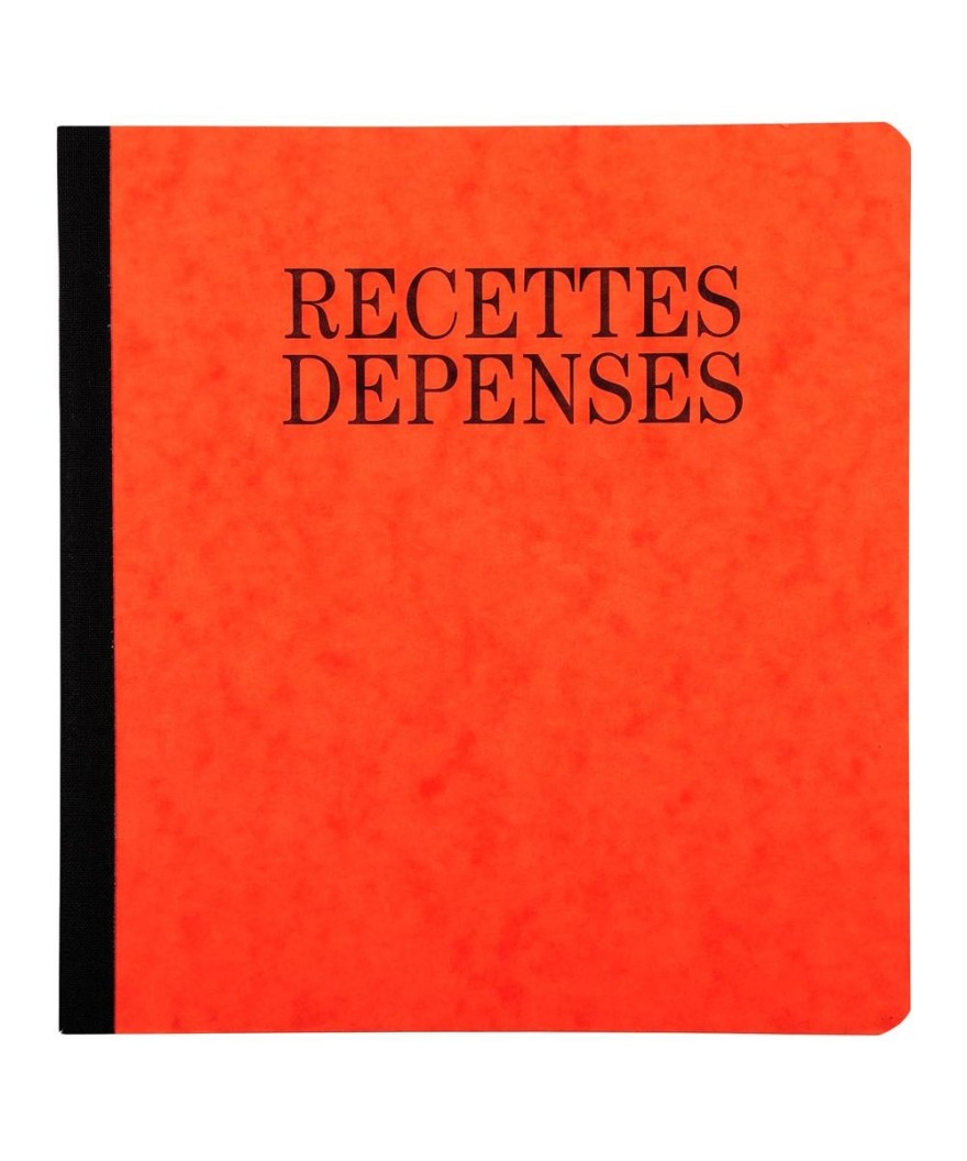 PIQ. 21/19 RECETTES-DEPENSES 80p.