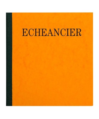 PIQ. 21/19 ECHEANCIER 80p.
