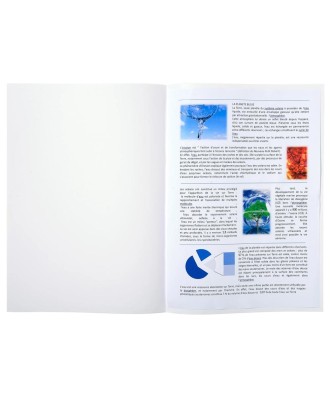 Pt 100 cotes de plaidoirie 90g blanc