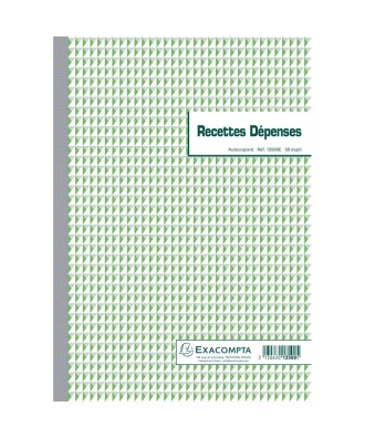 RECETTES DEPENSES 29,7/21 50D A.