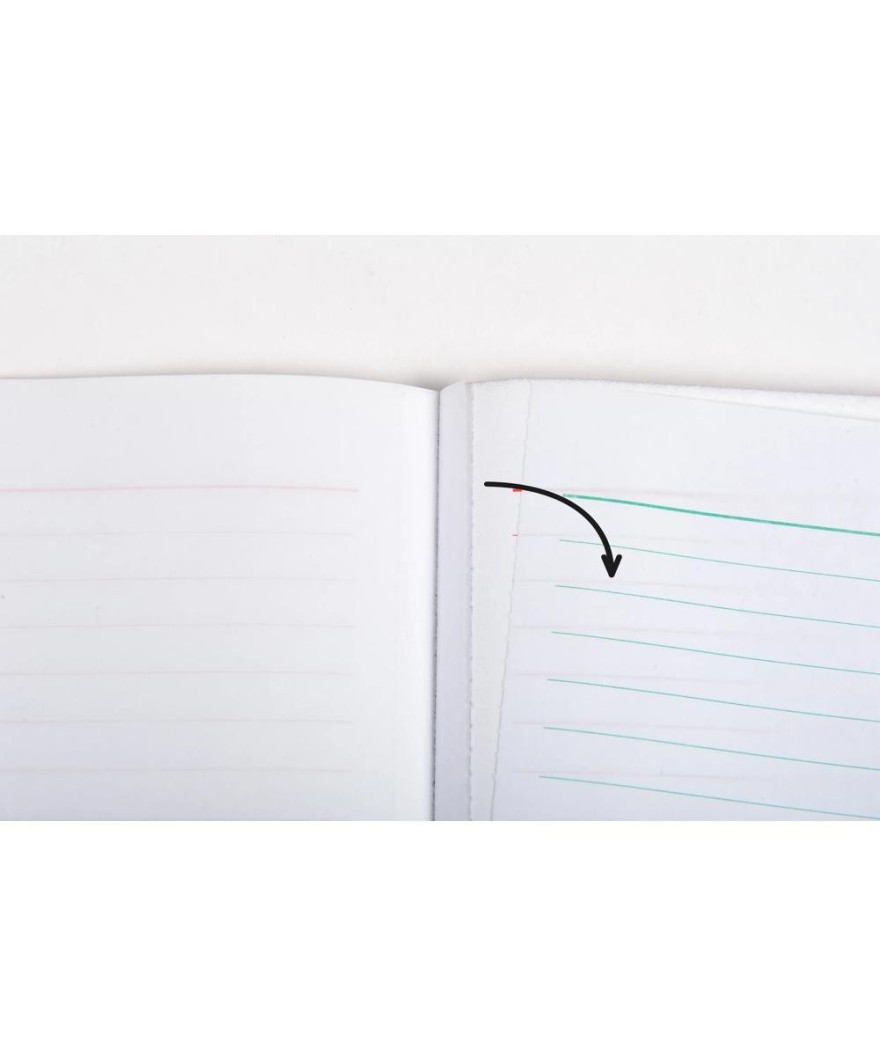 TRAITES NORMALISEES 10,1/21 50FLLETS