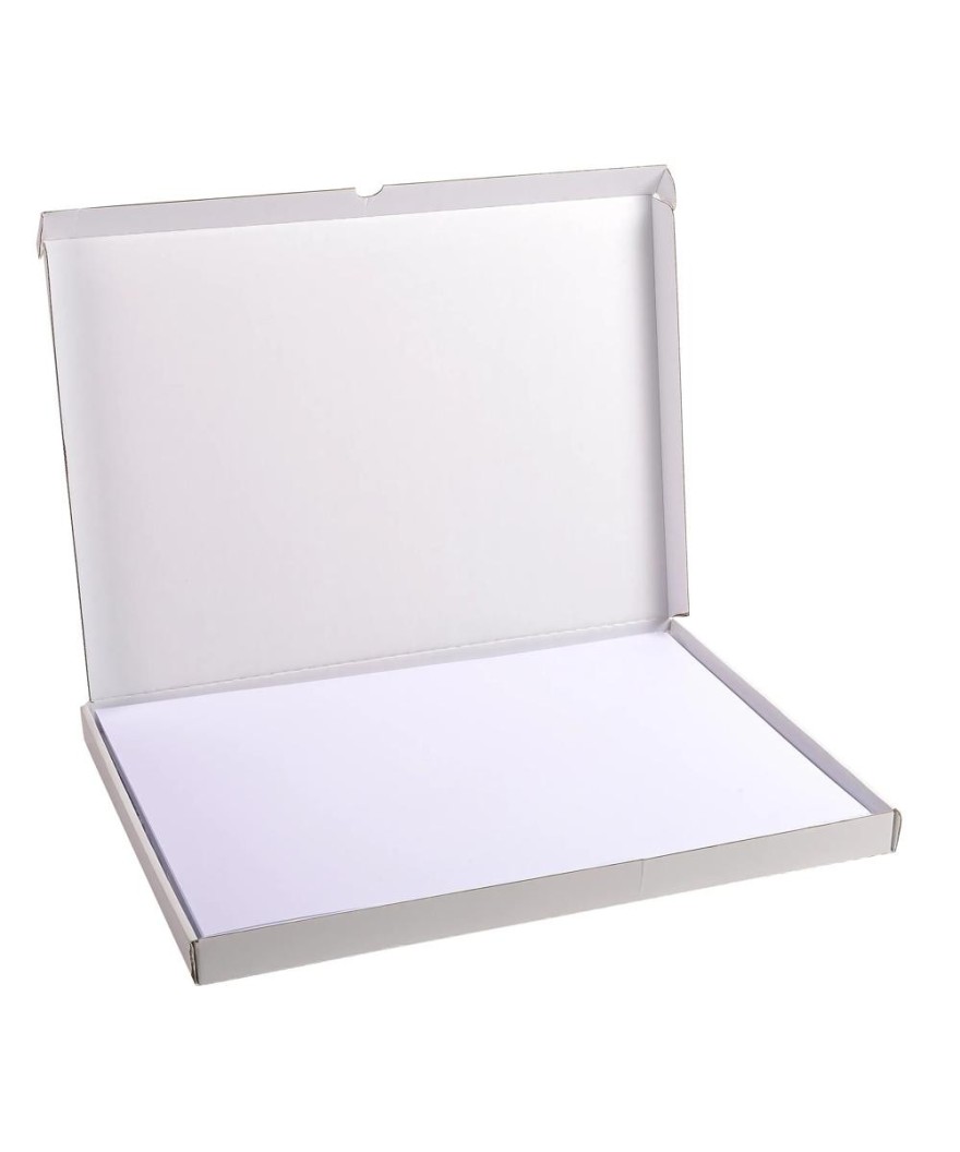 ETUI 100 F.BRISTOL BLANC 297/420
