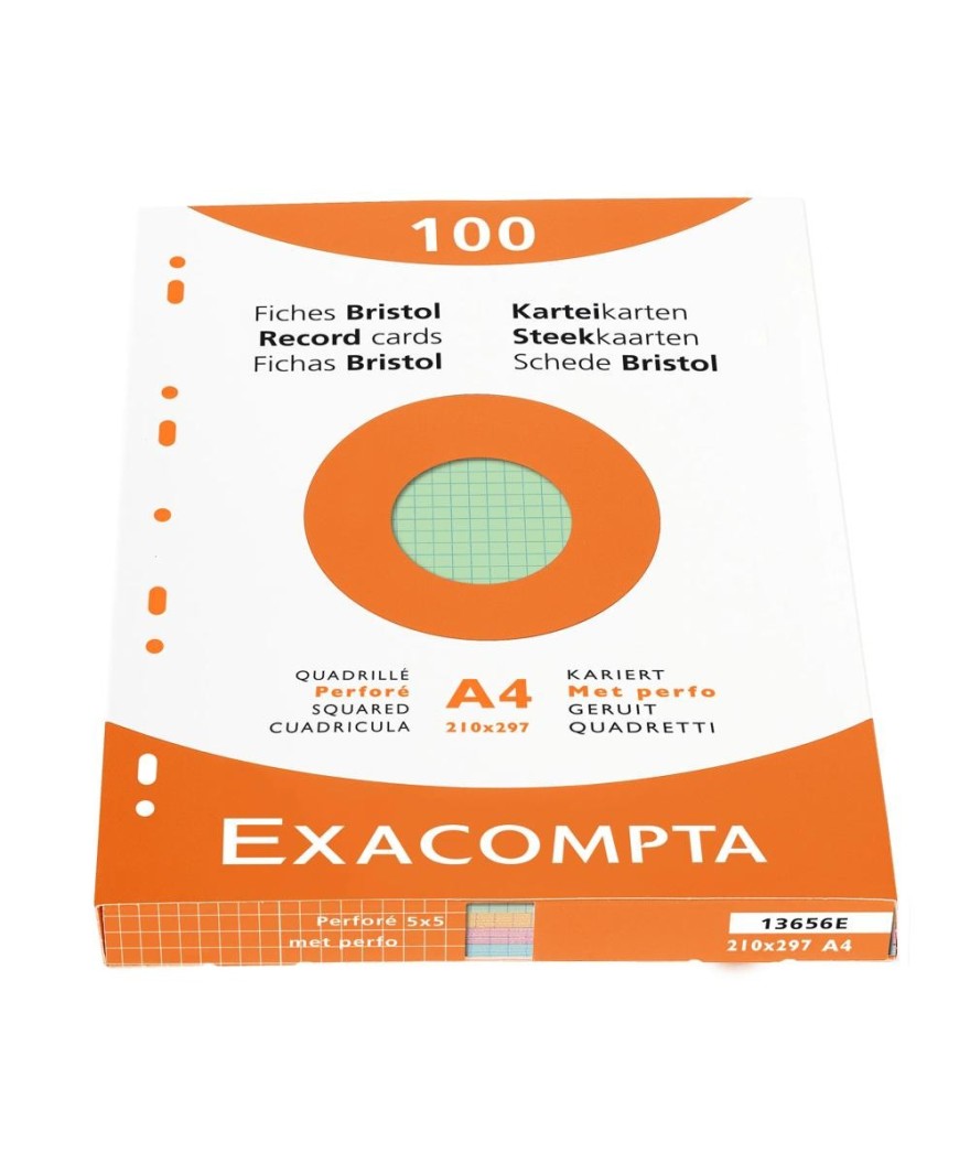 ETUI 100 F.BRISTOL ASS 210/297 5X5 PERF