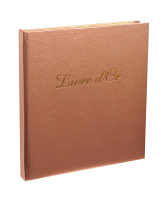 Livre d'Or SHINY 21x19 av titre ass.