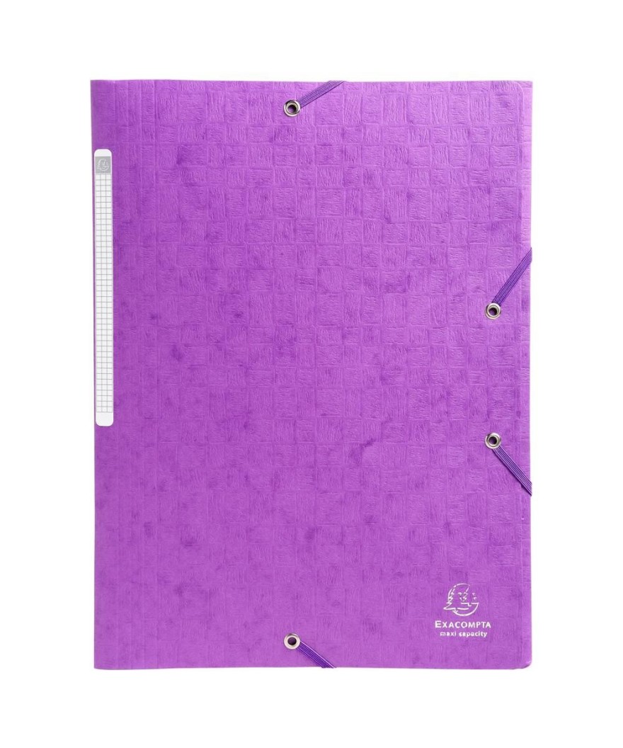 CHEMISE 3 RABATS  SCOTTEN  7/10°violet
