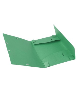 CARTOBOX Nature Future Carte L. D40 VERT
