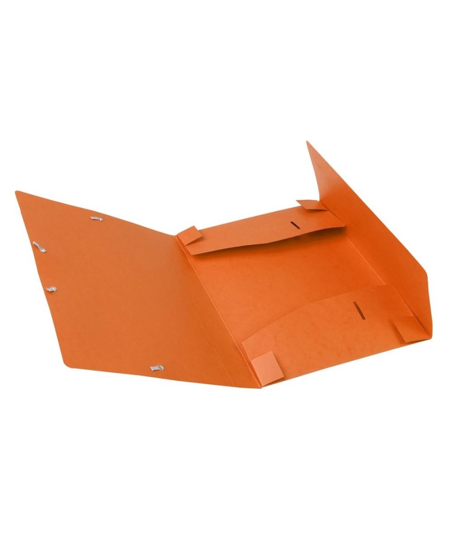 CARTOBOX Nature Future Cte L.D40 ORANGE