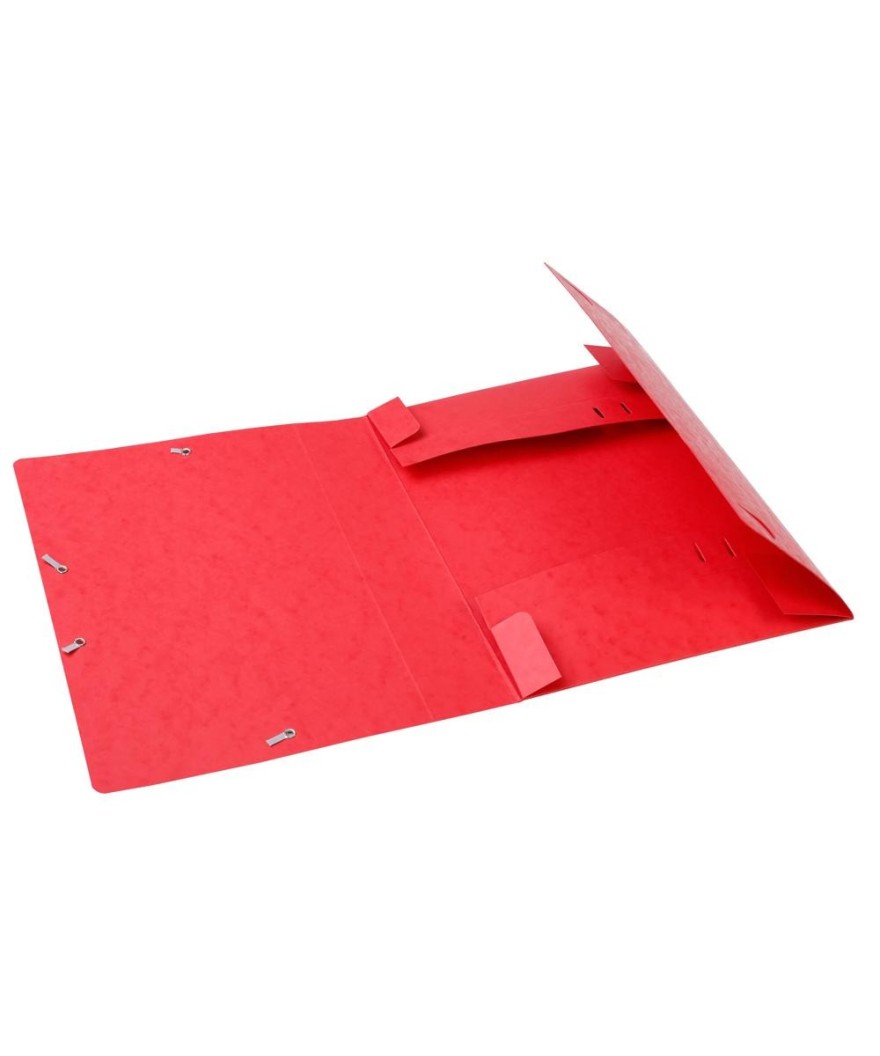 CARTOBOX Nature Future Cte L.D60 ROUGE