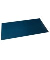 Sous-main souple PU 35x60 tropiqu/canard