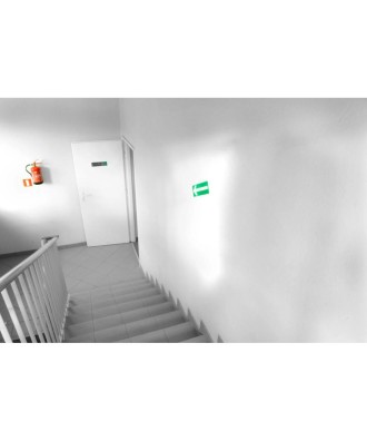 Plaque adhésive Sortie de secours FR