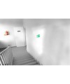 Plaque adhésive Sortie de secours FR