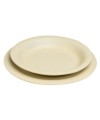 Assiette plate réutilisable 23cm