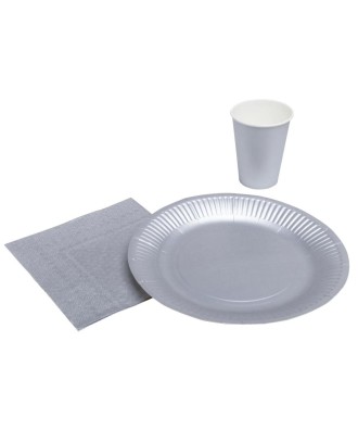 10 Assiettes carton rond Ø23 cm Argent