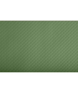 500 Sets de table TISS LACK 30x40 Vert O