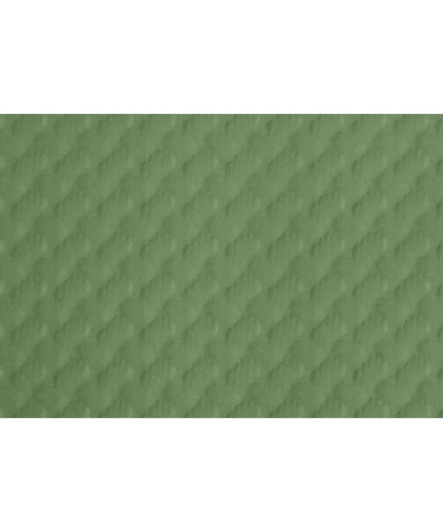 500 Sets de table TISS LACK 30x40 Vert O