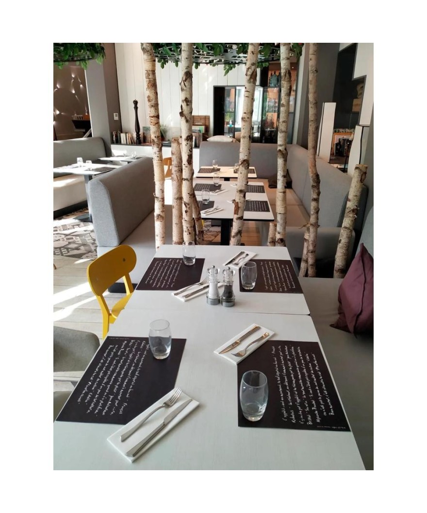 400 Sets de table papier 30x40 "Ardoise"