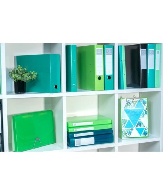 Bte classemt A4 D40mm 7/10° Iderama anis