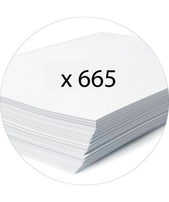 C.L.PAPIER MARBRE DOS GRIS A4 D70 A/PERF