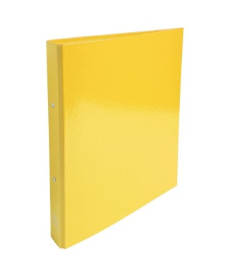 Classeur A4 2anx 30mm Iderama assorti