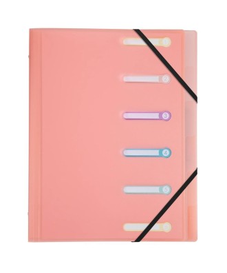 Trieur PP 6 compartiments Chrom.Pastel