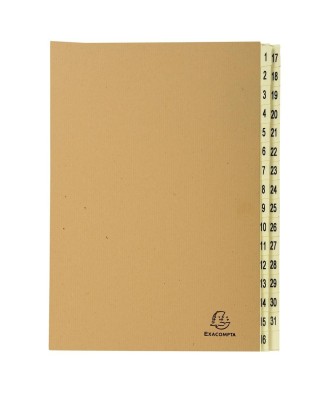 Trieur 31 Comp. FOREVER kraft brun