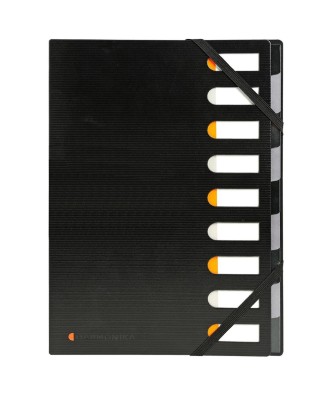 HARMONIKA  EXACTIVE 240X328 9C.