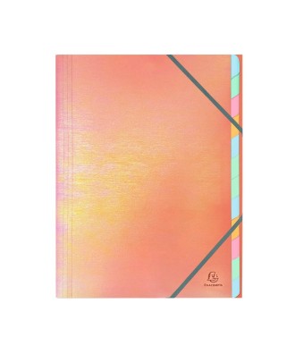 Trieur agrafé PP+carte 12. A4 Candy Tidy