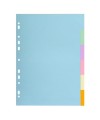 INTERCAL.CARTE FORTE A4 6P.Coul Pastel