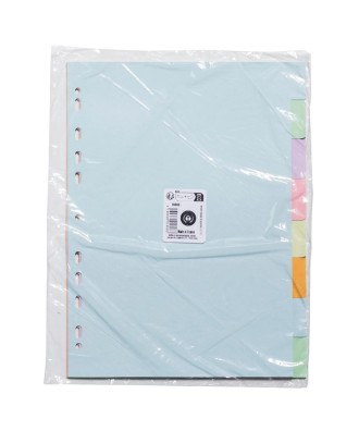 INTERC.CARTE FORTE A4 8P.Coul Pastel