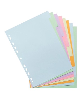 INTERC.CARTE FORTE A4 8P.Coul Pastel