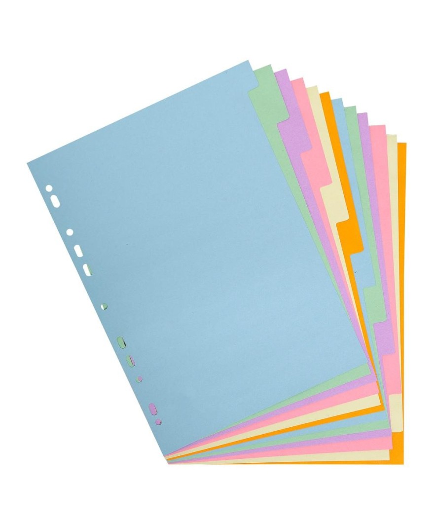 INTERC.CARTE FORTE A4 12P.Coul Pastel