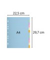 INTERC.CARTE FORTE A4 12P.Coul Pastel
