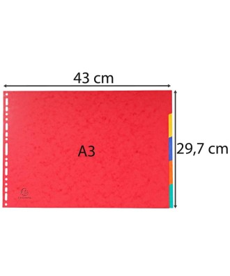 Intercal.Nature Future A3 - 5Positions