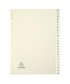 INTERCAL.CARTE PEAU A4 24 POS. A-Z