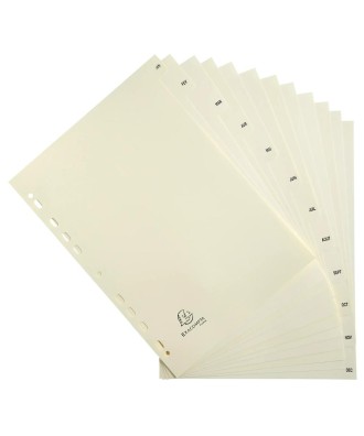 INTERCAL.CARTE PEAU A4 12 POS. JANV/DEC.