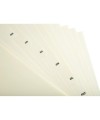 INTERCAL.CARTE PEAU A4 12 POS. JANV/DEC.