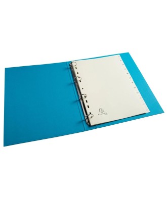 INTERCAL.CARTE PEAU A4 12 POS. JANV/DEC.
