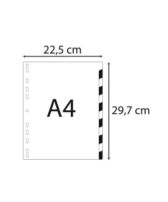 Intercalaire  A4 PP 12/100 12 positions