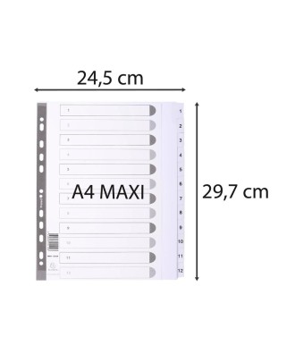 Intercal.carte blanche A4+ 12 Pos.1-12